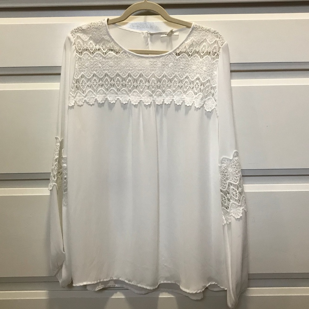 Pleione Lace Blouse
